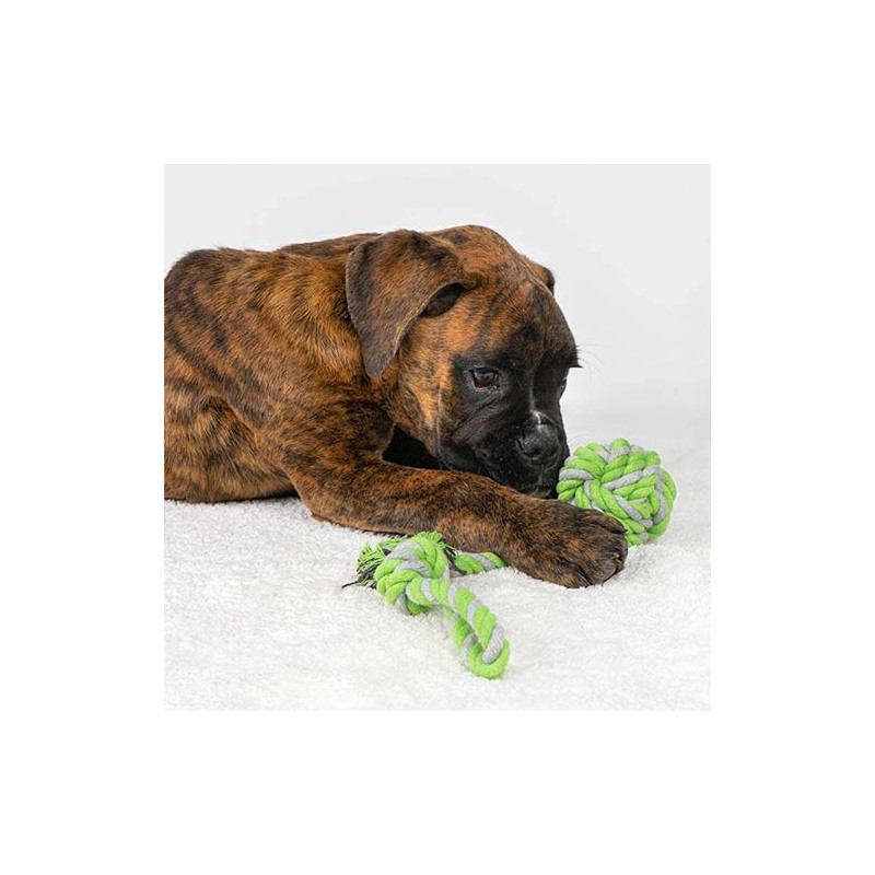 Pelota con trapillo para perros, comprar en Zaragoza, Superguau