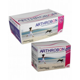 König Arthrobon Condroprotector