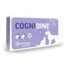 Cognidine perro  gato contra el desgaste,comprar en Zaragoza,Superguau