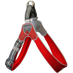 Coralpina Arnes Rojo