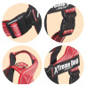Arquivet Arnes Xtreme Classic Dog Rojo