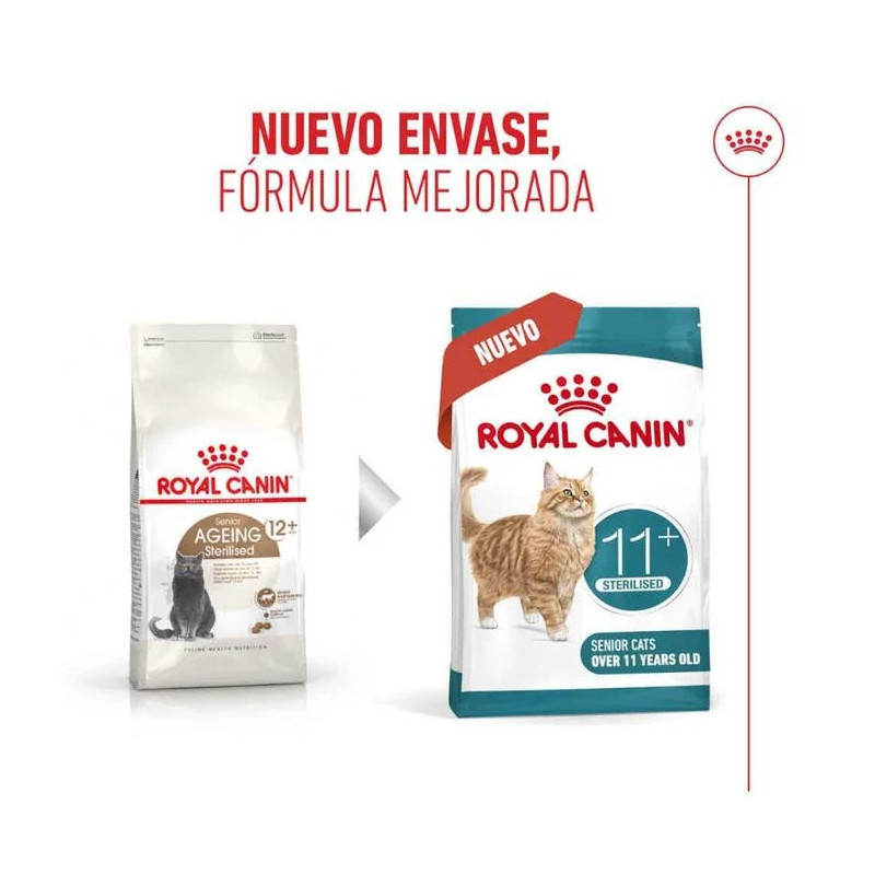 Royal Canin Ageing +12 años - Comida para gatos en Zaragoza, Superguau