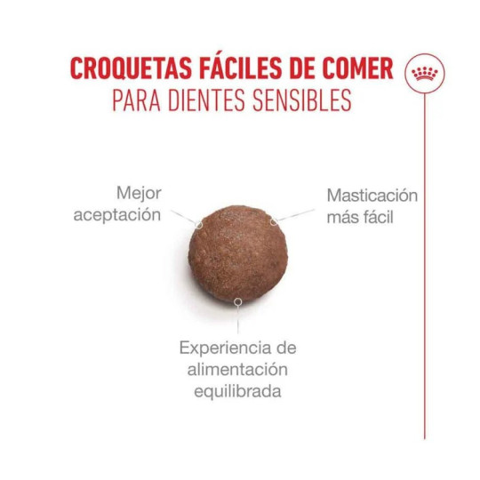 Royal Canin Ageing +12 años - Comida para gatos en Zaragoza, Superguau