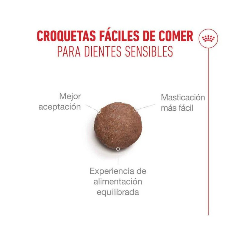 Royal Canin Ageing +12 años - Comida para gatos en Zaragoza, Superguau