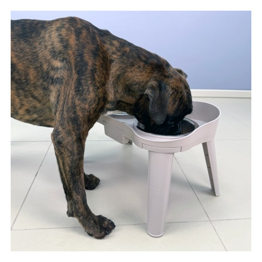 Ibañez Alzador Comedero,Superguau