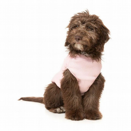 FuzzYard Chaqueta East Macgiver Rosa con arnés