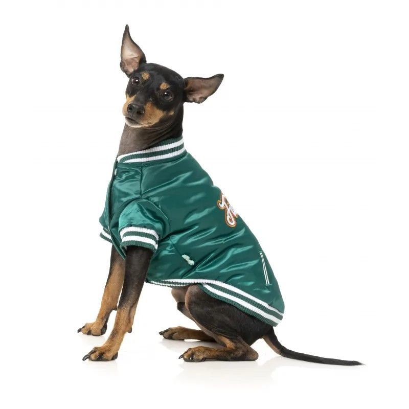 FuzzYard Chaqueta Fastball Verde
