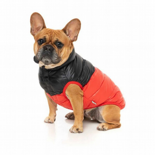 FuzzYard Chaqueta South Harlem Rojo para perros