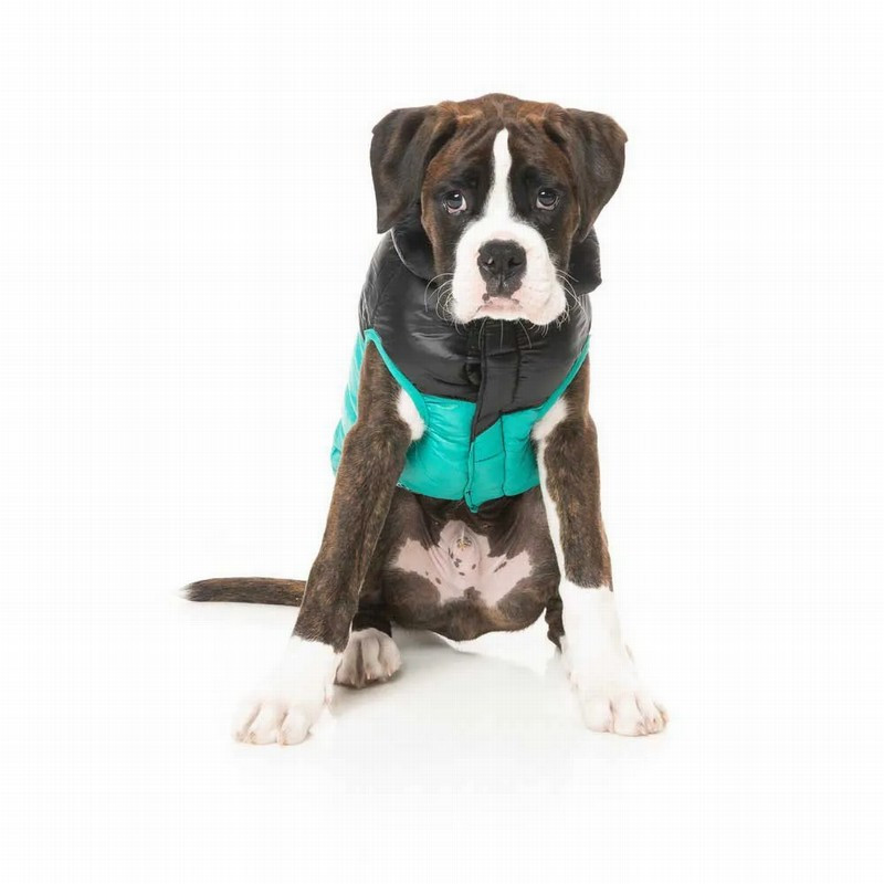 FuzzYard Chaqueta South Harlem Turquesa para perros