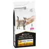 Purina VD Feline Renal Function NF - Superguau, Zaragoza