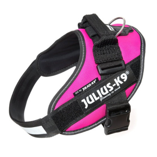 Julius K9 IDC Fucsia
