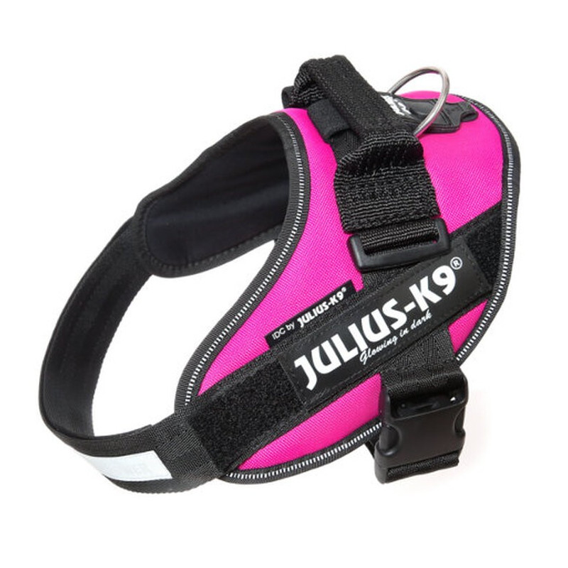Julius K9 IDC Fucsia