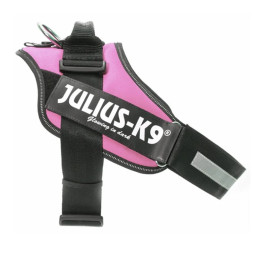 Julius K9 IDC Rosa