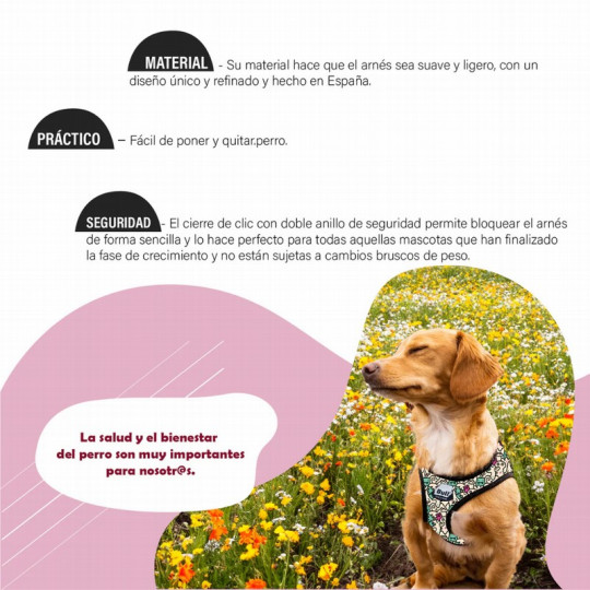 Yagu Arnés de paseo Confort Monster