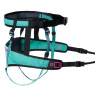 cinturon canicross canix dogwear nonstop superguau zaragoza