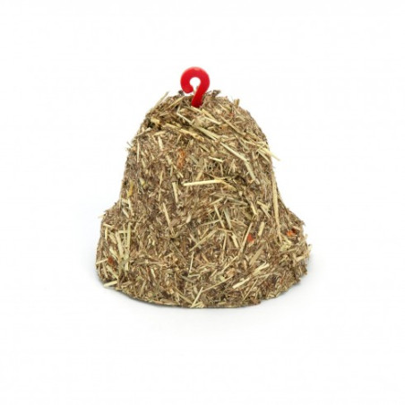 Ribero Campana de Festuca