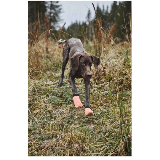 Non-Stop Cinturón trekking Azul - Superguau Zaragoza