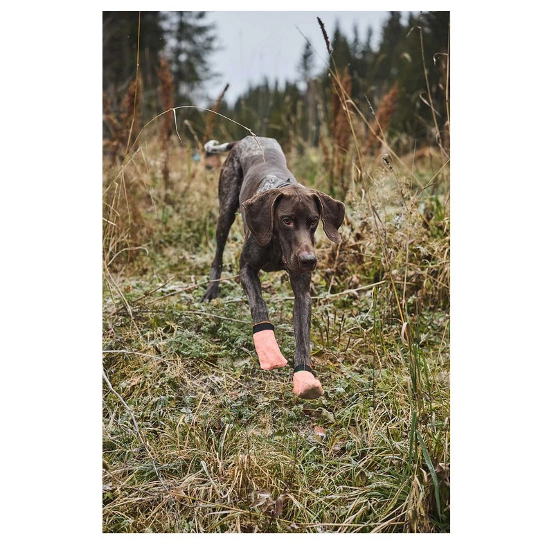 Non-Stop Cinturón trekking Azul - Superguau Zaragoza