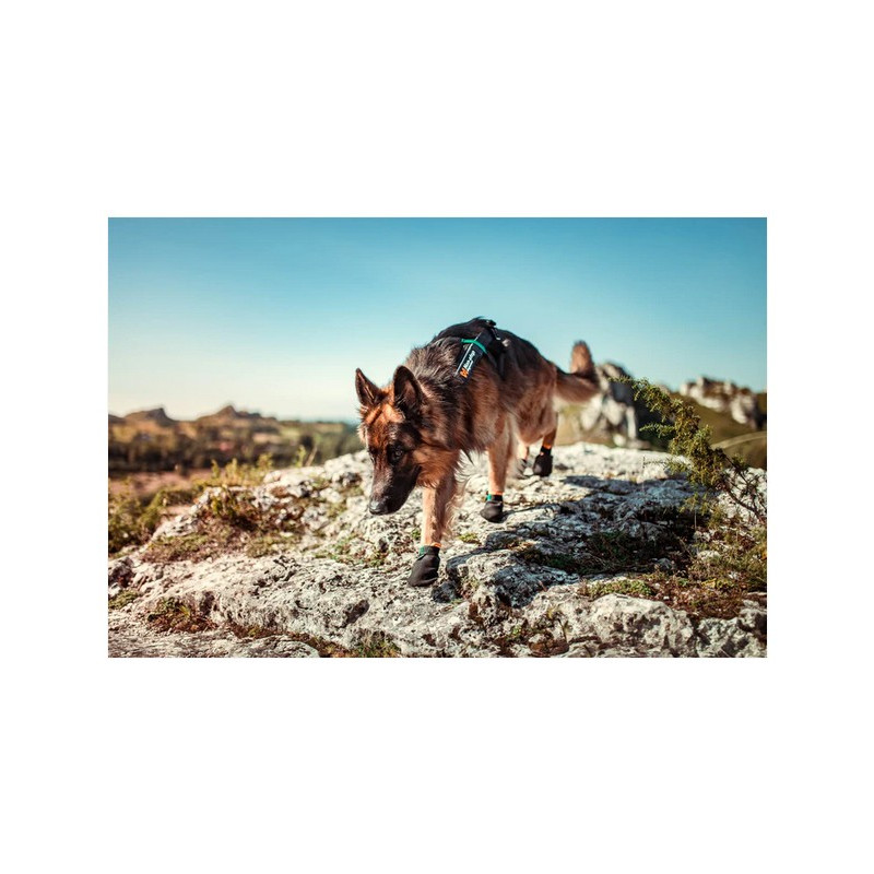 Non-Stop Cinturón trekking Azul - Superguau Zaragoza