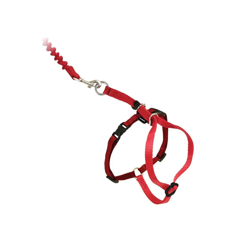Easy Walk Arnés con Correa para Gato