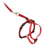 Easy Walk Arnés con Correa para Gato