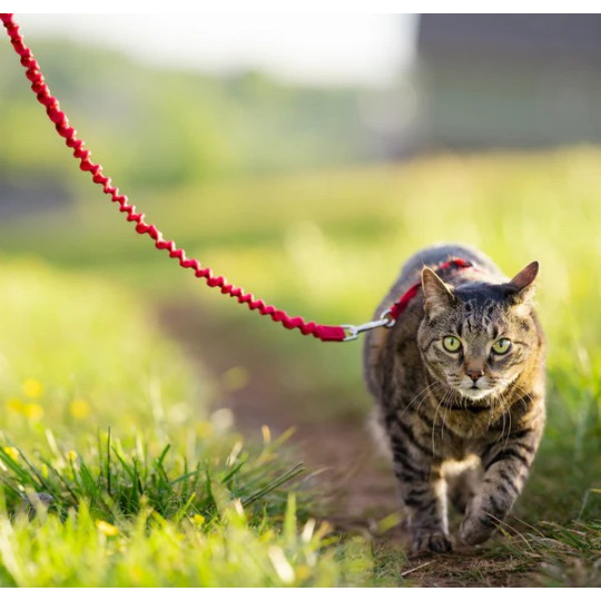 Easy Walk Arnés con Correa para Gato