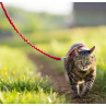 Easy Walk Arnés con Correa para Gato