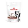 Royal Canin Dog Snack Gastro Treats 230gr