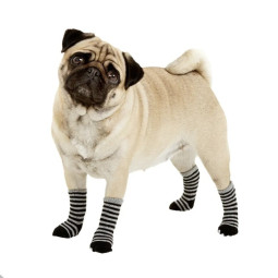 Karlie Calcetines gris y negro para perros