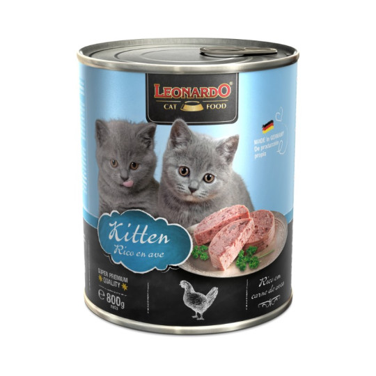 Leonardo Cat Kitten Lata Rico en Ave
