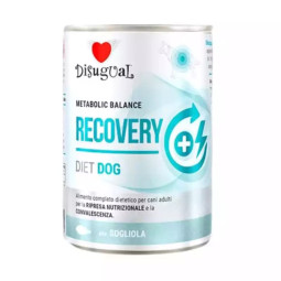 Disugual diet digestion para perros,comprar en Zaragoza,Superguau