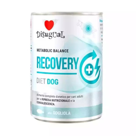 Disugual diet digestion para perros,comprar en Zaragoza,Superguau