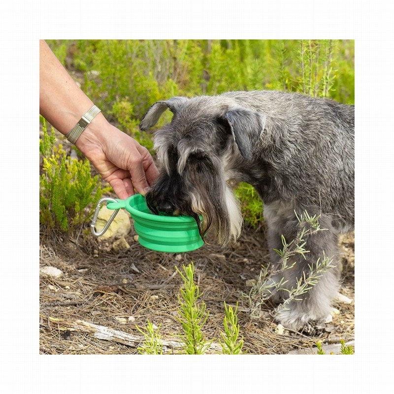 bebedero plegable impermeable para perro,comprar en Zaragoza,Superguau