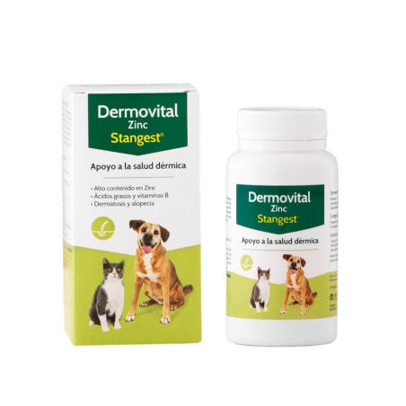 Stangest Dermovital Zinc (60comp)