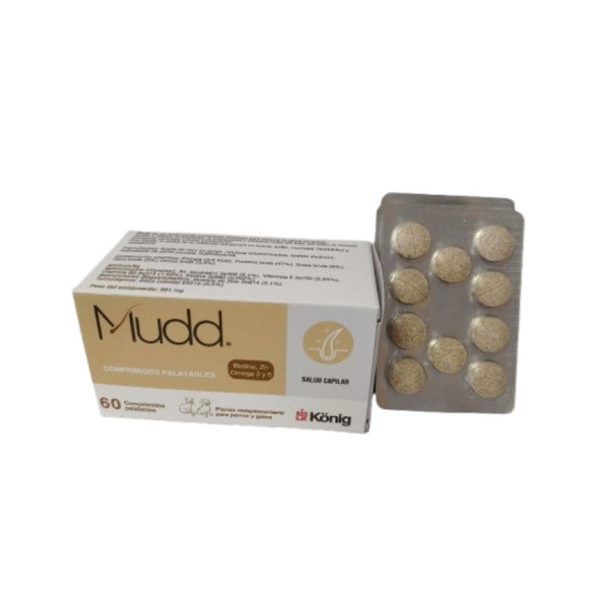 König Mudd (60cáp)