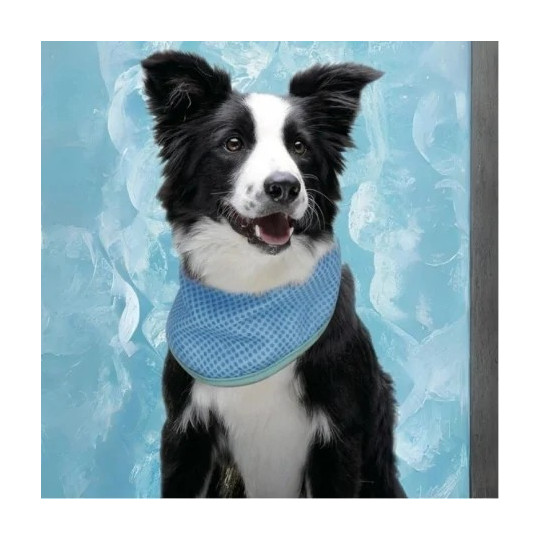 Freedog Bandana Refrescante