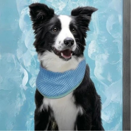 Freedog Bandana Refrescante