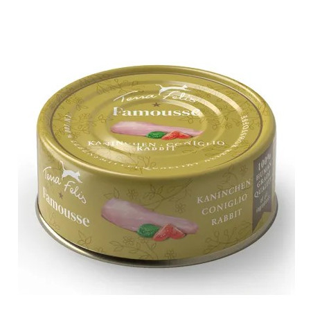 Terra Felis Famousse Conejo 80gr