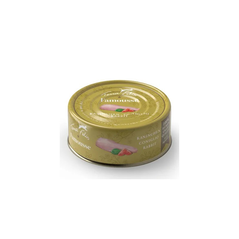 Terra Felis Famousse Conejo 80gr