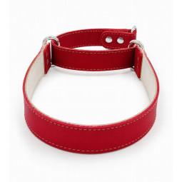 Youpet Collar Galgo Martingale Rojo