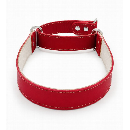 Youpet Collar Galgo Martingale Rojo