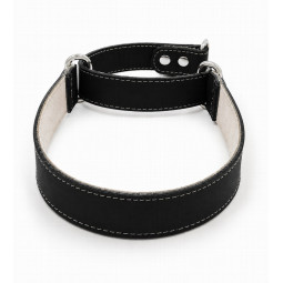Youpet Collar Galgo Martingale Negro