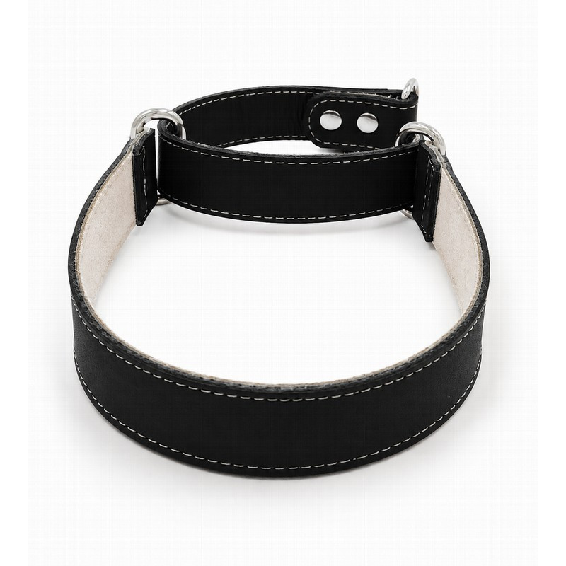 Youpet Collar Galgo Martingale Negro