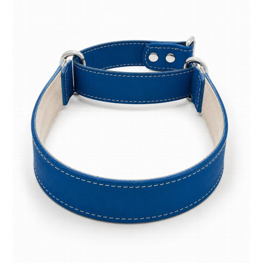 Youpet Collar Galgo Martingale Azul