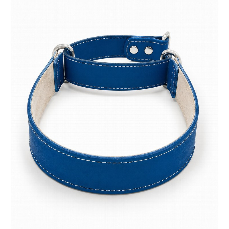 Youpet Collar Galgo Martingale Azul