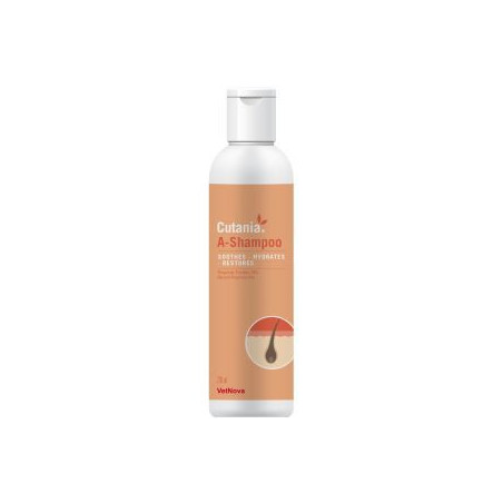 Champú Cutania GlycOat para perro y gato,comprar en Zaragoza,Superguau