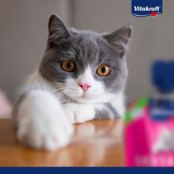Vitakraft Lick Bits Gambas y Tomate para gatos