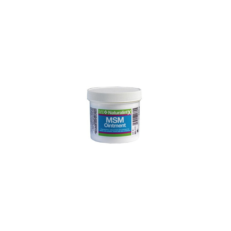 MSM Ointment 250gr
