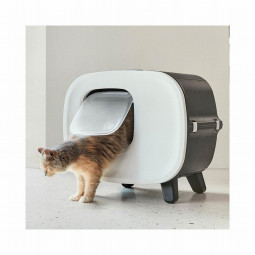Arenero Nestor Savic para gatos - Comprar en Zaragoza, Superguau