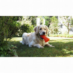 Bionic Dog Juguete Ultra Resistente Hueso